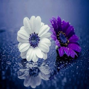 Meet your Posher, Katrina